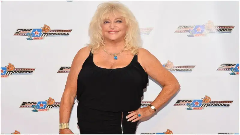 linda vaughn net worth