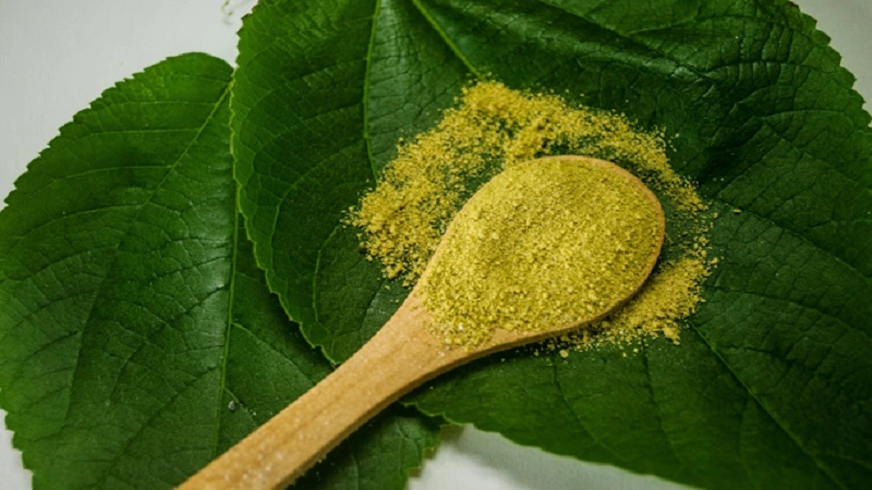 Moringa Powder: The Secret to Natural Detox and Vitality